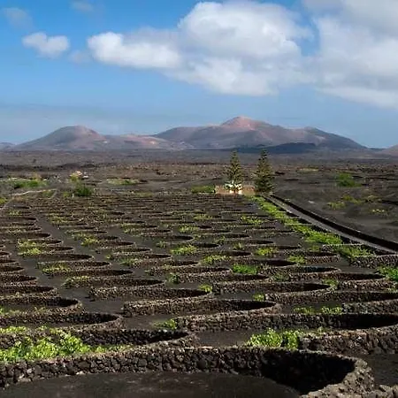 Maida La Asomada (Lanzarote)