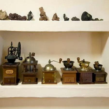 Maida Сasa de vacaciones